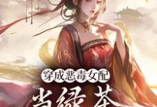 胡说，她才不是坏女人！无弹窗乔挽颜最新章节列表-给力文学