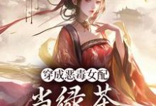 求助这本胡说，她才不是坏女人！小说在哪里可以看完结版-给力文学