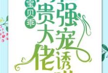 小说宝贝乖：高贵大佬在强宠诱哄（ 简以宁陆怀瑾）最新章节在哪看-给力文学