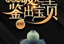 小说震惊！我能从破烂里鉴出宝贝！（陆飞）最新章节在哪看-给力文学