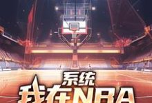 小说系统：我在NBA把把都超神主角林浩科比免费阅读-给力文学