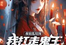 夜宿乱坟岗，我扛走鬼王漂亮新娘（昊昆）完结版免费阅读-给力文学