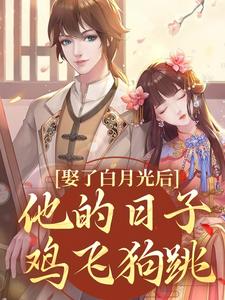 娶了白月光后，他的日子鸡飞狗跳热门小说(盛栖月萧玉衡)在线阅读无弹窗