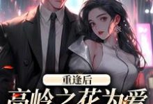 重逢后，高岭之花为爱变身追妻狂魔热门小说(付闻洲程又青)在线阅读无弹窗-给力文学