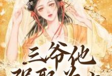 求助这本三爷他强娶为上小说在哪里可以看完结版-给力文学