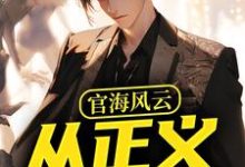 官海风云：从正义开始小说最新章节在哪里可以免费看-给力文学