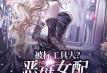 被标工具人？恶毒女配甩男主求自由（宋以宁许继琛）最新章节免费阅读-给力文学