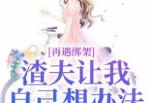 再遇绑架，渣夫让我自己想办法大结局，苏夏顾帆小说无广告阅读-给力文学