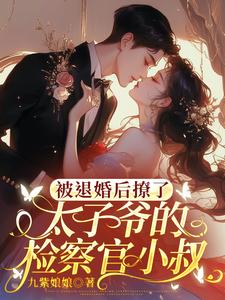 被退婚后撩了太子爷的检察官小叔在线看，陆砚昇乔曦小说大结局在哪免费看
