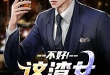 (全文)不好！这渣女要虐死了完结小说推荐顾迟云云晚晚全本书籍阅读-给力文学