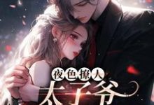 夜色撩人,太子爷为她乱了心(楚璃徐砚周)全章小说阅读-给力文学