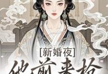 新婚夜,他前来抢夺我的心温棠谢云州热门小说排行榜新婚夜,他前来抢夺我的心免费小说-给力文学