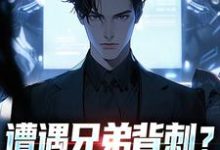 秦东骆小蝶遭遇兄弟背刺？我直接去偷家全本免费在线阅读-给力文学