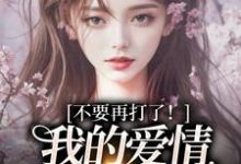 不要再打了！我的爱情我自己选（苏暖裴撤）全章小说阅读-给力文学