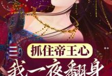 萧煜沈芙抓住帝王心，我一夜翻身成宠妃全本免费在线阅读-给力文学