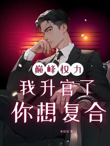 巅峰权力：我升官了你想复合林磊热门小说排行榜巅峰权力：我升官了你想复合免费小说