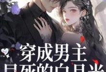 穿成男主早死的白月光？我不干了推荐完结小说，穿成男主早死的白月光？我不干了谢观砚林茉免费小说全本-给力文学