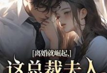 离婚就崛起，这总裁夫人她不做了最新完结小说离婚就崛起，这总裁夫人她不做了苏心瑶南羽陌免费小说-给力文学