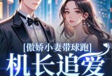 傲娇小妻带球跑，机长追爱不停歇最新完结小说傲娇小妻带球跑，机长追爱不停歇顾予琛徐歆薇免费小说-给力文学