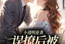 误撩后被大佬宠上天（许惟昭方肃礼）全章小说阅读-给力文学