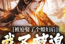 凌晨青柠被迫娶了个媳妇后,我又被迫上战场全本免费在线阅读-给力文学