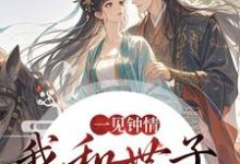 一见钟情，我和世子天生一对沈如风苏云锦热门小说排行榜一见钟情，我和世子天生一对免费小说-给力文学