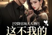 空降官场大人物？这不我的裙下臣吗（顾杳周政良）全章小说阅读-给力文学