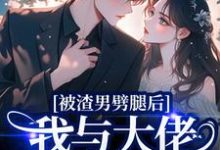 (全文)被渣男劈腿后，我与大佬领证生娃了容君珩阮芷小说推荐，被渣男劈腿后，我与大佬领证生娃了全章小说阅读-给力文学