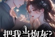 把我当炮灰？来人！给我虐最新完结小说把我当炮灰？来人！给我虐谢宏屿林昭免费小说-给力文学