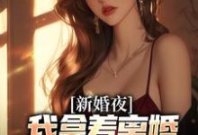新婚夜，我拿着离婚协议黯然离场最新完结小说新婚夜，我拿着离婚协议黯然离场叶修远白若雪免费小说-给力文学