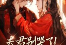 夫君别哭了！我来替你虐渣沈婉宁韩云泽完结小说推荐，夫君别哭了！我来替你虐渣全章小说阅读-给力文学
