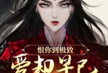 恨你到极致，爱却早已深入骨髓苏婉江忱序热门小说排行榜恨你到极致，爱却早已深入骨髓免费小说-给力文学