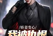 娇妻变心，我被仇恨占据了全身路无铭墨凉馨完结小说推荐娇妻变心，我被仇恨占据了全身全本书籍阅读-给力文学
