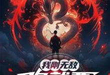 我刚无敌，你就要跟我退婚？完整版小说，我刚无敌，你就要跟我退婚？苏阳全章小说阅读-给力文学