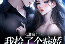 甜疯！我捡了个病娇大佬当老公热门小说排行榜甜疯！我捡了个病娇大佬当老公宋知暖霍北枭免费小说全本-给力文学
