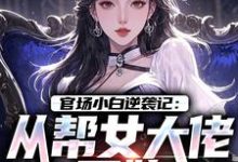 官场小白逆袭记：从帮女大佬开始完整版小说，官场小白逆袭记：从帮女大佬开始唐诚李文静全章小说阅读-给力文学