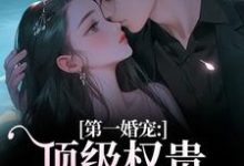 叶惊兰薄戎淮第一婚宠：顶级权贵追妻火葬场全本免费在线阅读-给力文学