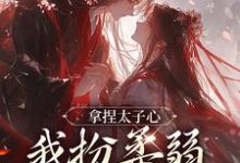 沈春颐商鹤亦拿捏太子心，我扮柔弱他就认错！全本免费在线阅读-给力文学
