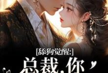 舔狗觉醒:总裁,你只是个替身(许瑾禾裴景之)全章小说阅读-给力文学