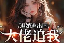 (全文)退婚逃出国,大佬追我满世界跑江野崎楚灵兮最新完结小说退婚逃出国,大佬追我满世界跑免费小说全本-给力文学