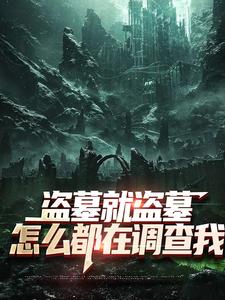 盗墓就盗墓，怎么都在调查我（吴邪白小白）全章小说阅读