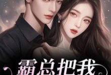 霸总把我当替身后，他真的后悔了完整版小说，霸总把我当替身后，他真的后悔了白筱帆盛延试读更新章节-给力文学