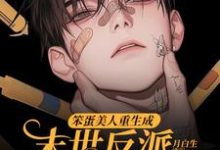 笨蛋美人重生成末世反派的男友后沈绵叶瑾修最新完结小说，笨蛋美人重生成末世反派的男友后全本免费在线阅读-给力文学