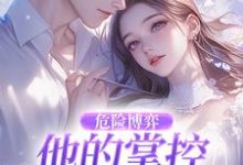危险博弈：他的掌控与她的反杀叶时欢完结小说推荐危险博弈：他的掌控与她的反杀全本书籍阅读-给力文学