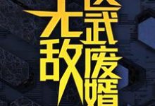 无敌医武废婿最新完结小说无敌医武废婿秦铭免费小说-给力文学