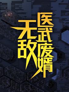 无敌医武废婿最新完结小说无敌医武废婿秦铭免费小说