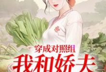 秦晏姜清妤穿成对照组，我和娇夫杀疯了全本免费在线阅读-给力文学