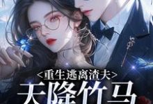 重生逃离渣夫，天降竹马太会钓姜矜贺祈年热门小说排行榜重生逃离渣夫，天降竹马太会钓免费小说-给力文学