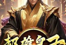 超雄皇子萧凡完结小说推荐，超雄皇子全章小说阅读-给力文学