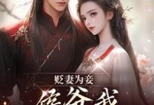 贬妻为妾，侯爷我不伺候啦慎如余启免费小说贬妻为妾，侯爷我不伺候啦推荐完结小说-给力文学